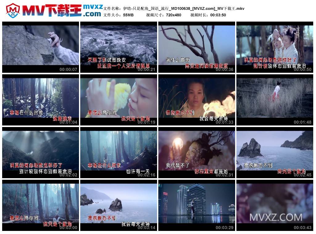 伊晗-只是配角_国语_流行_MD100638
